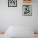 Arena Surf Hotel