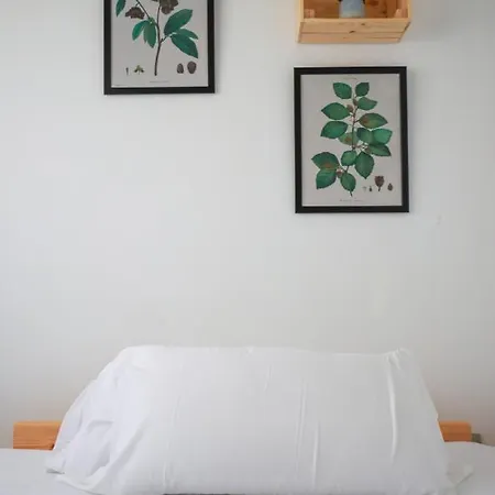 Arena Surf Hotel