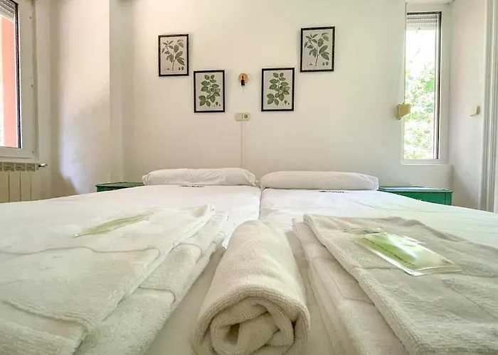 Hotel Arena Surf Somo